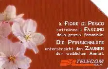 Telefonkarte Italien, Pfirsichblüte, 15000