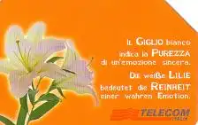 Telefonkarte Italien, Weiße Lilie, 5000