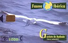 Telefonkarte Spanien, Fauna Ibérica, Möwe, 1000