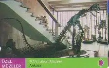 Telefonkarte Türkei, Dinosaurier Skelett Ankara, 30