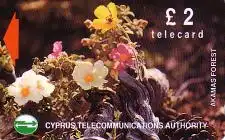 Telefonkarte Zypern, Pflanzen Akamas Forest (1), 2