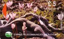 Telefonkarte Zypern, Pflanzen Akamas Forest (2), 5