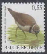 Belgien Mi.Nr. 3319 Vögel: Fußregenpfeifer (0,55)
