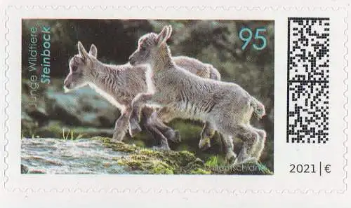 D,Bund MiNr. 3629 aus Markenset Tierbabys, Alpensteinbock skl. (95)