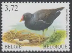 Belgien Mi.Nr. 3261 Freim. Vögel, Teichhuhn (3,72)