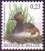 Belgien Mi.Nr. 3594 Freim. Vögel, Schwarzhalstaucher (0,23)