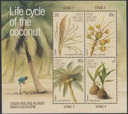 Kokos-Inseln Mi.Nr. Block 6 Kokosnuss Entwicklungsstadien 