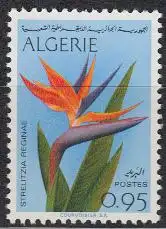 Algerien Mi.Nr. 520 Strelitzia (Paradiesvogelblume) (0,,95)