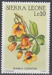 Sierra Leone Mi.Nr. 906 Blüten, Bombax costatum (10)