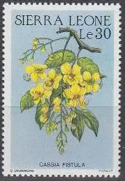 Sierra Leone Mi.Nr. 908 Blüten, Cassia fistula (30)