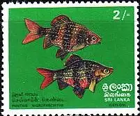 Sri Lanka Mi.Nr. 431 Fische (2(R))