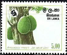 Sri Lanka Mi.Nr. 569 Erhaltung der Wälder, Brotfruchtbaum (4(R))