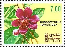Sri Lanka Mi.Nr. 578 Blumen (7(R))