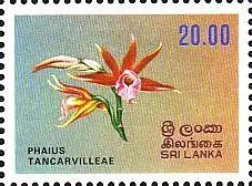 Sri Lanka Mi.Nr. 579 Blumen (20(R))