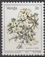 Südafrika - Venda Mi.Nr. 2Ax Freim. Blumen, Catophractes alexandri (2)