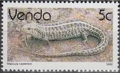 Südafrika - Venda Mi.Nr. 124x Freim. Reptilien, Skink (5)