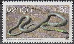 Südafrika - Venda Mi.Nr. 127x Freim. Reptilien, Buschschlange (8)