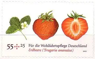 D,Bund Mi.Nr. 2777 Wohlfahrt, Obst, Erdbeere, selbstklebend (55+25)