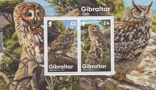 Gibraltar Mi.Nr. Block 143 Einheimische Eulen