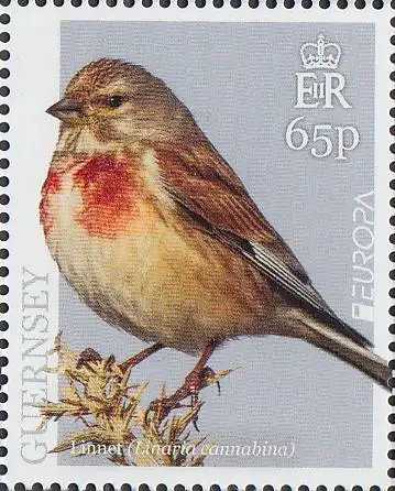 Guernsey MiNr. 1726 Europa 2019, Einheimische Vögel (65)