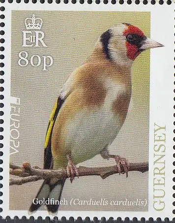 Guernsey MiNr. 1728 Europa 2019, Einheimische Vögel (80)