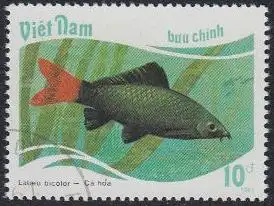 Vietnam Mi.Nr. 1897 Fische, Labeo bicolor (10)