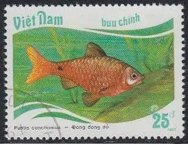 Vietnam Mi.Nr. 1900 Fische, Puntius conchonius (25)