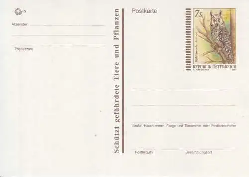 Österreich, Postkarte Mi.Nr. P 552 Waldohreule