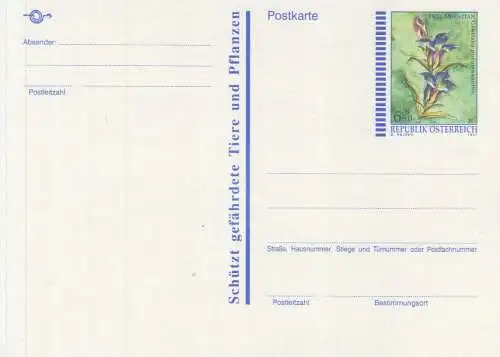 Österreich, Postkarte Mi.Nr. P 541 Lungenenzian