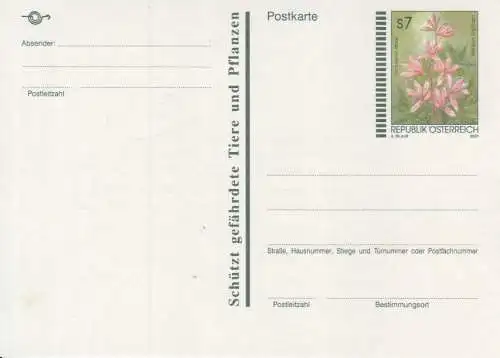 Österreich, Postkarte Mi.Nr. P 551 Weißer Diptam