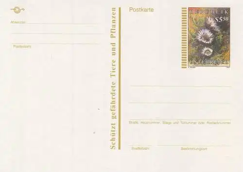 Österreich, Postkarte Mi.Nr. P 536 Silberdistel