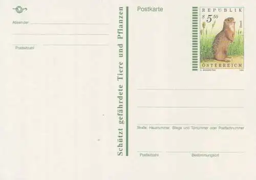 Österreich, Postkarte Mi.Nr. P 526 Ziesel