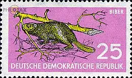 D,DDR Mi.Nr. 691 Naturschutz, Europäischer Biber (25)