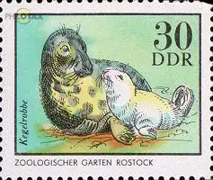 D,DDR Mi.Nr. 2035 Zootiere, Kegelrobbe (30)