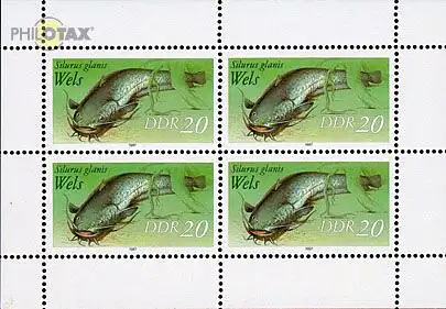 D,DDR Mi.Nr. Klbg. 3097 Süßwasserfische, Wels (mit je 4 x 3097)