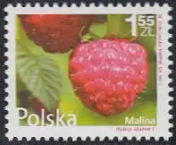 Polen Mi.Nr. 4546 Freim. Himbeere (1,55)