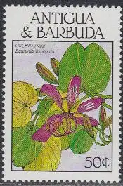 Antigua u.Barbuda Mi.Nr. 1153 Blüten, Orchidee Bauhinia variegata (50)