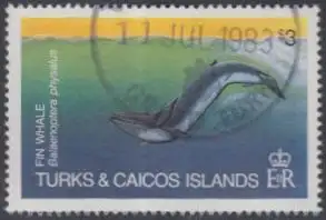 Turks- u.Caicos-Inseln Mi.Nr. 642 Finnwal (3)