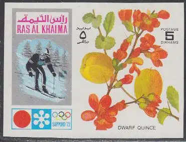 Ras al Khaima Mi.Nr. 607B Olympia 1972 Sapporo, Ski, Zierquitte (5)