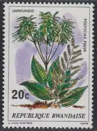 Ruanda Mi.Nr. 984A Bäume, Polyscias fulva  (20)