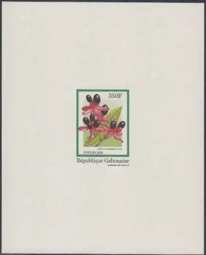 Gabun Mi.Nr. 965V Blüten, Campylospermum laeve (350)