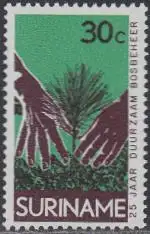 Surinam Mi.Nr. 645 25Jahre Forstverwaltung, Pflanzen eines Setzlings (30)