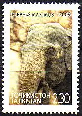 Tadschikistan Mi.Nr. 537 Elefant (2,30)