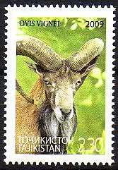 Tadschikistan Mi.Nr. 538 Ladakh-Urial (2,30)