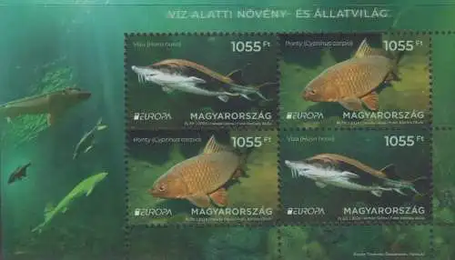 Ungarn MiNr. Block 498 Europa 2024 - Unterwasserfauna und -flora