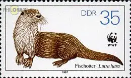 D,DDR Mi.Nr. 3109 Vom Aussterben bedrohte Tiere, Fischotter (35)