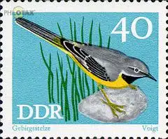 D,DDR Mi.Nr. 1840 Geschützte Singvögel, Gebirgsstelze (40)