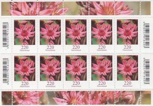 D,Bund Mi.Nr. 3414 Freim. Blumen, Hauswurz (Klbg.)