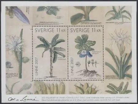 Schweden Mi.Nr. Block 24 300.Geb. Carl von Linné, Banane, Fußblatt
