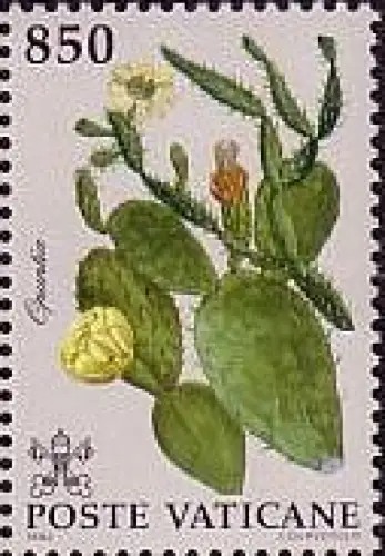 Vatikan Mi.Nr. 1066 Pflanzen aus Amerika, Kaktus (850)